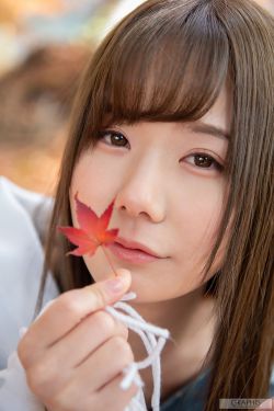 野花视频高清在线观看下载